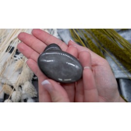 Silver Obsidian Crystal Pocket Worry Stone Healing Protection Chakra Meditation