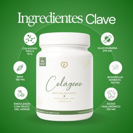 CARO FIT | Colágeno Hidrolizado Tipo II en Polvo para Articulaciones con Glucosamina MSM Boswellia y Ácido Hialurónico | 10 g de Colágeno por Porción | 500 g | Suplemento Alimenticio sin Azúcar
