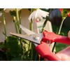 Clauss 33503 Spring-Action Stainless Steel Wire Cutters/Pruning Shears for Gardening,