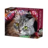 What Cats Teach Us 2026 5.4" x 6.2" Box Calendar