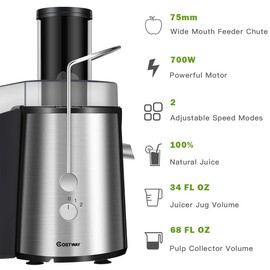 COSTWAY Juice Extractor, 75MM Wide Mouth Stainless Steel Juicer Machines, 2-Speed Setting High Speed Masticating Juicer Machine for Fruits and Vegetable with Slag Pot and Juice Jug, BPA-Free