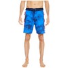 Hurley Men's M Andino Pro Series Bdst Board Shorts, blue,