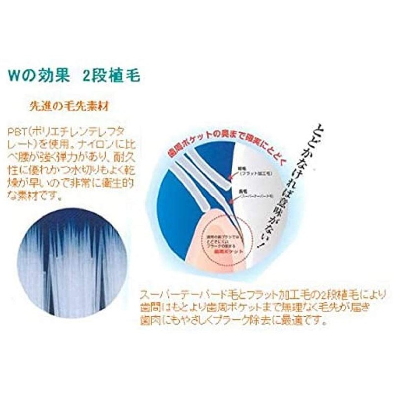 ウィルデント モアクリーン 歯ブラシ コンパクト 20本入