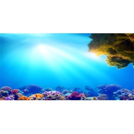 MIRRORANG 61 x 30 cm Underwater Aquarium Background Sunshine Blue Sea Coral Reef Underwater World Aquarium Poster Background