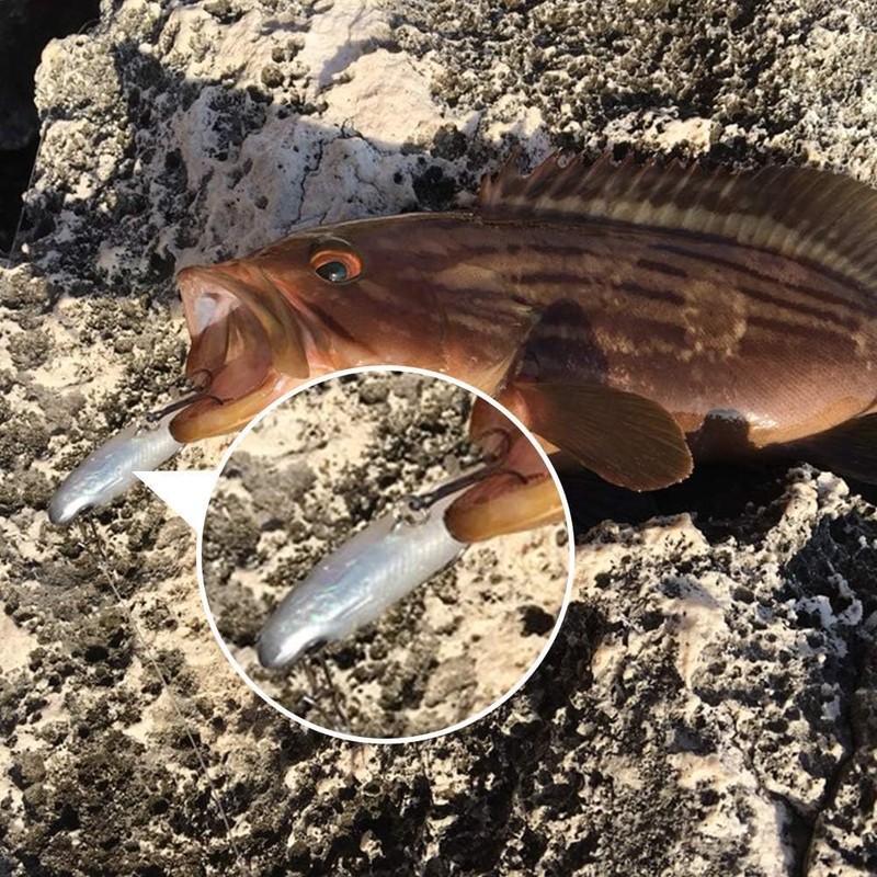 Goture Swimbait Bath Lure, Warm Jig, Realistic Soft Lure, Set