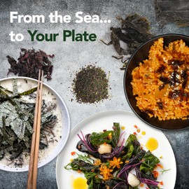 VITAMINSEA Irish Sea Moss Dried Seaweed | Wild North Atlantic Seaweed for Snacking, Seasoning, Soups & Salads | Rich in Vitamins, Minerals & Antioxidants Perfect for Thyroid Support | Powder (4 OZ)