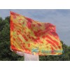 Winged Sirenny Porphetic Praise Dance Worship Flex Flags, (130cm) 50"