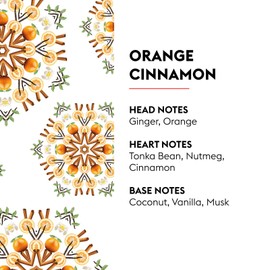 Maison Berger Orange Cinnamon Lampe Berger Refill, 1 Liter (33.8 fl oz), 2-in-1 Catalytic System, Neutralizes Odors and Diffuses Fragrance, Ginger, Orange, Tonka Bean, Nutmeg, Cinnamon, Made in France
