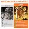 Dog Multivitamin Chews, 16-in-1 Vitamins & Supplements, 500 Soft Chews