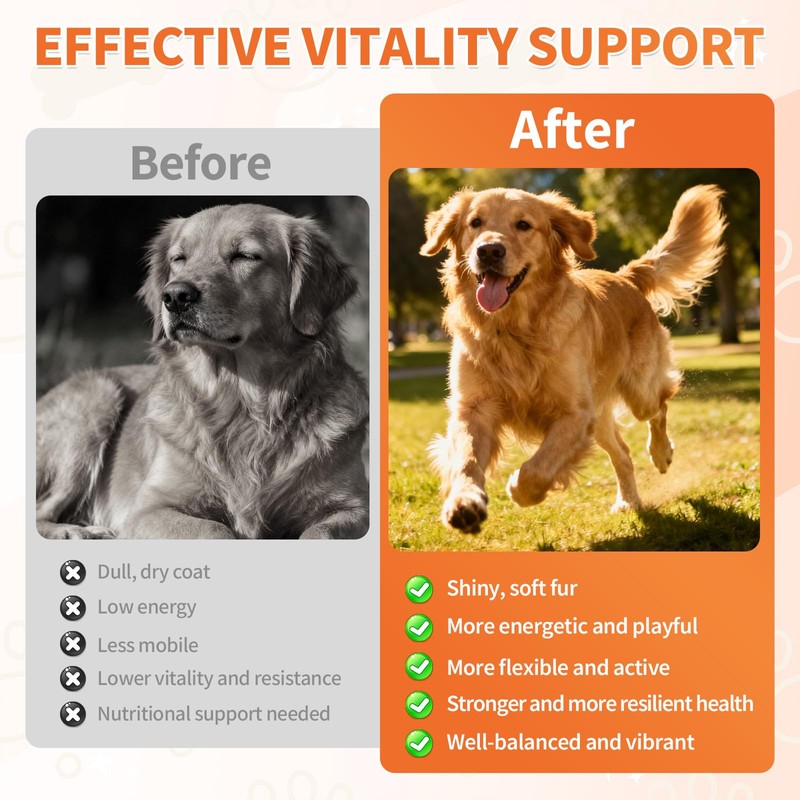 Dog Multivitamin Chews, 16-in-1 Vitamins & Supplements, 500 Soft Chews