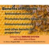 Dr. Ohhira's Propolis Plus with Brazilian Green Propolis, 120 Capsules