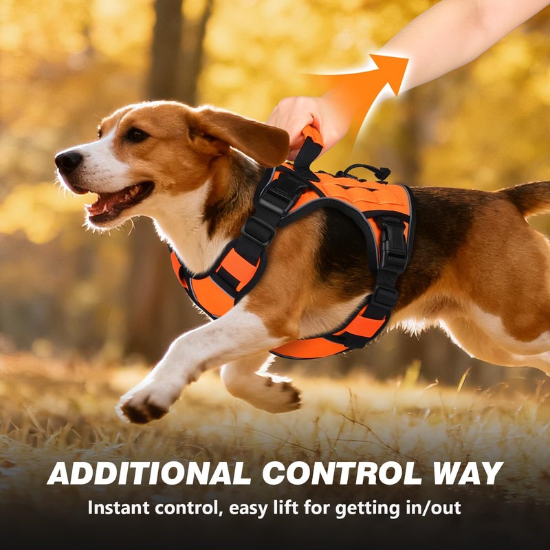 WINGOIN Orange Tactical Dog Harness for Medium Dogs, Heavy Duty