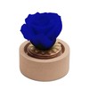 ROSEMARIE SCHULZ Heidelberg Small Rose in Glass Eternal Flower Blue