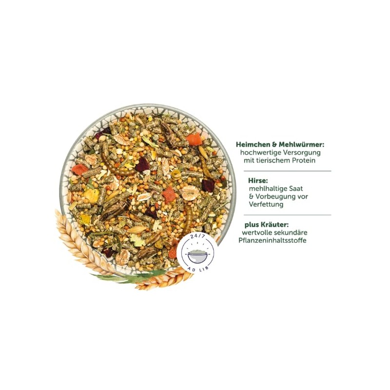 Bunny Nature Gerbil Dream Basic - 600g