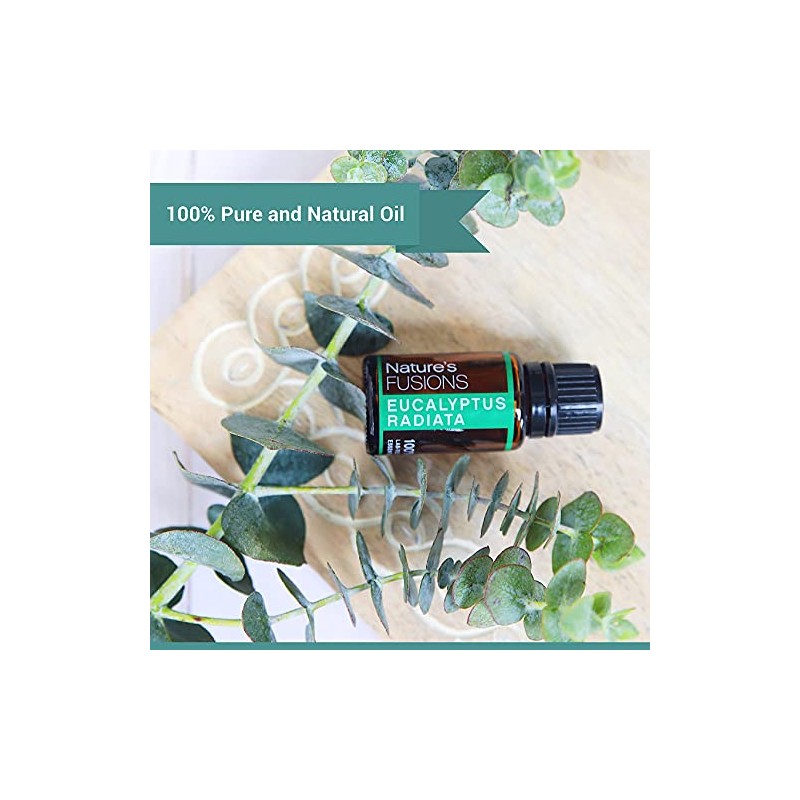 Nature's Fusions Australian Eucalyptus Radiata 15 ml, 100% Pure Therapeutic