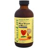 Childlife Multi Vitamina y Mineral Natural Naranja/mango Sabor 8 Fl