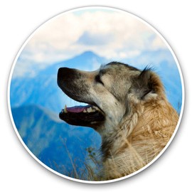 2 x 30cmVinyl Stickers - Caucasian Shepherd Sheepdog Decals for Car Van Luggage Scrap Book Fridge #3179