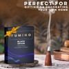Fumino Fresh Incense Cones Multipack Essentials Bundle 6 Boxes 120