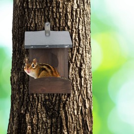 Relaxdays Wooden Squirrel and Bird Feeder Weatherproof Metal Roof, for Hanging, Garden Feeding Station, Choice of Colours, dark brown