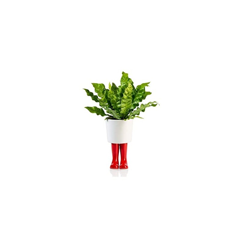 bitten Rubber Boots Mini Flower Pot in Red