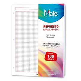 Mate | Hojas Para Carpeta | Carta | 100 Hojas (Cuadro Chico)