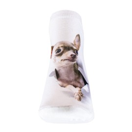 cosey Pair of Trainer Socks - Dog Design - One Size UK 1-7, Chihuahua
