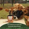 Vermont Natural Coatings PolyWhey Exterior Penetrating Stain - Golden Cedar