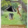 Garbuildman Squirrel Baffle for Bird Feeder Pole, Outside Hanging Mount