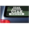 Utah Native - White Vinyl Sticker Window Decal