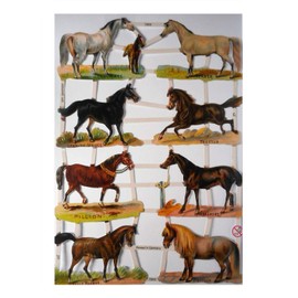 Glanzbilder EF 7263 Horse Yorkshire Pillion Trotter Horse Pose Picture Decoration 815