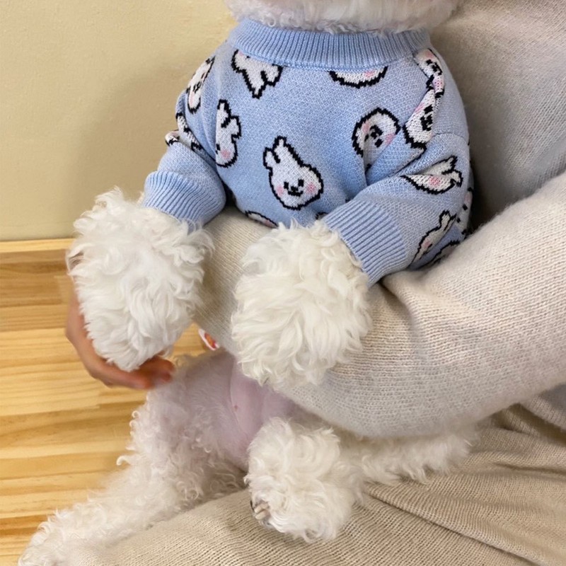 Dog Clothes Cute Pattern Moderate Thickness Soft Comfortable Small Dog