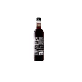 DaVinci Gourmet Classic Caramel Pecan Syrup, 25.4 Fluid Ounces (Pack of 1)
