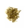 Brass Plated Steel Trunk Tacks 3/4" Long 2 OZ Pack