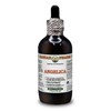 Hawaii Pharm Europe Angelica Archangelica Root Powder Alcohol-free Liquid Extract Glycerite 120 ml