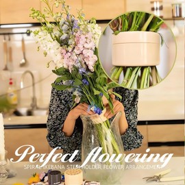 Quixotical Pack of 2 Spiral Ikebana Stem Holder, Twist Flower Arrangement Holder, Ikebana Stem Holder, DIY Bouquet, Silica Flower Stem Holder for Flower Vases (S+L)