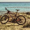 Bicycle Kickstand Side Stand, Adjustable Length, Fits 20"-27", Center Stand,