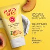 Burt's Bees Peach and Willow Bark exfoliante facial exfoliante, 4