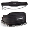 Dip belt With 37-40" Chain, 550lbs - 650lbs Weight Capacity,