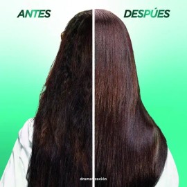 Kit Shampoo Garnier Fructis Probioticos Rutina 2 Pasos                                                                                                