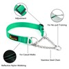 Plutus Pet Martingale Dog Collar with Stainless Steel Chain and