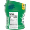 Excel Sugar-Free Gum, Spearmint, 6x60ct, 360 Pieces {Imported from Canada}
