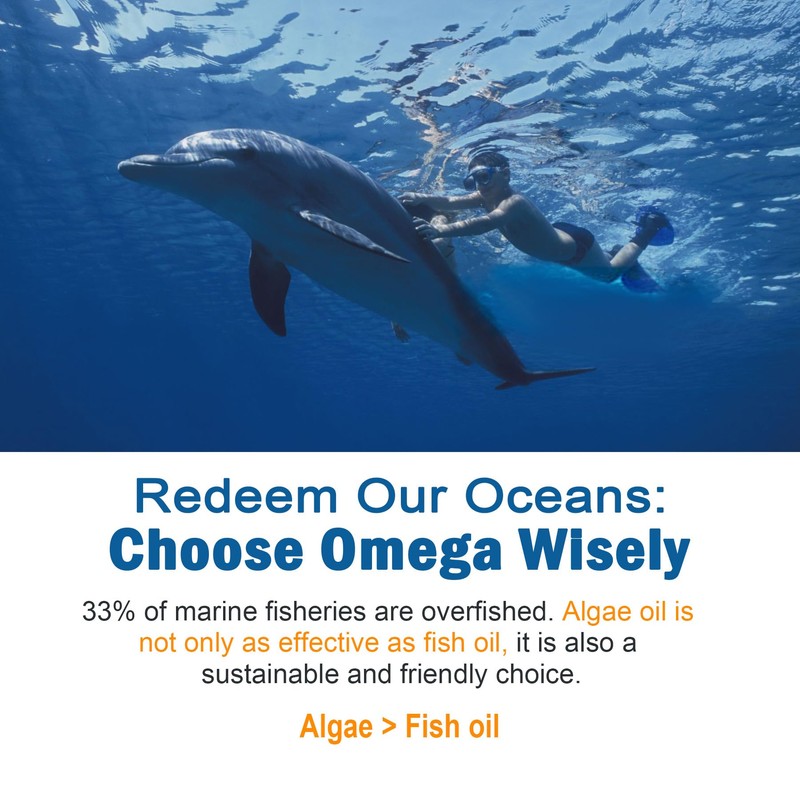 LILICARE LILICARE Vitamin B Complex Filled Gummies Vegan Omega3 Gummies