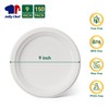 JOLLY CHEF 100% Compostable Paper Plates, 150 Pack 9 Inch