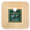 Planet Pantry Disposable Palm leaf Party Pack 10" (25 pcs)