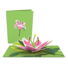 Lovepop Garden 7-Pack, 5 X 7, Assorted Bulk Cards, 3D Greeting Cards, Paper Flower Card, All Occasion Bulk Pack