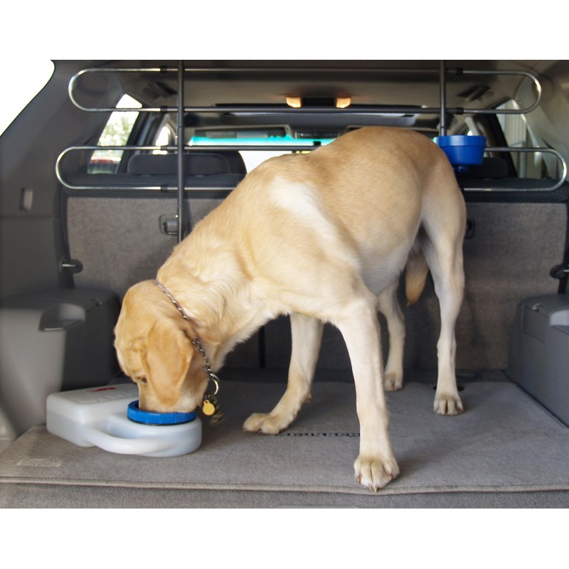 Heininger PortablePET 3059 Waterboy Travel Water Bowl for Pets (Clear),