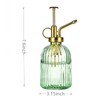Aebor Aebor Glass Plant Mister Spray Bottle, 7.5" Green Glass
