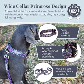 Lucky Love Dog Wide Dog Collar - Adjustable, Durable, Soft Webbing, & Comfortable 1.5 inch Wide Collar for Dogs Male and Female with Strong Buckle - Primrose, Medium