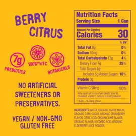 Daytrip Organic Sparkling Prebiotic Soda, Low Sugar Soda and Low Calorie Healthy Soda Alternative, Prebiotic Drink for Gut Health Drink and Digestion, Refreshing Functional Beverage with Plant-Based Fiber, 12-Pack - Berry Citrus