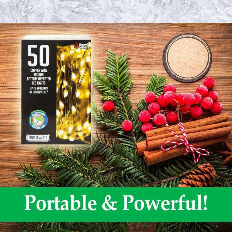 VFM - Indoor Copper Wire Lights- Warm White- Christmas Lights